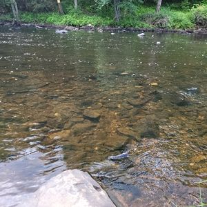 Meet your Posher, Mondi